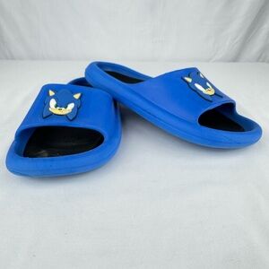 Sonic the Hedgehog Mens Slides